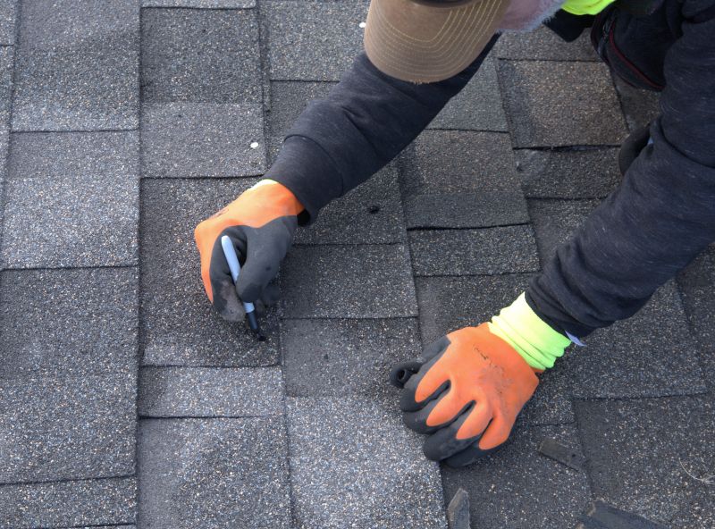 Shingle Repair Process